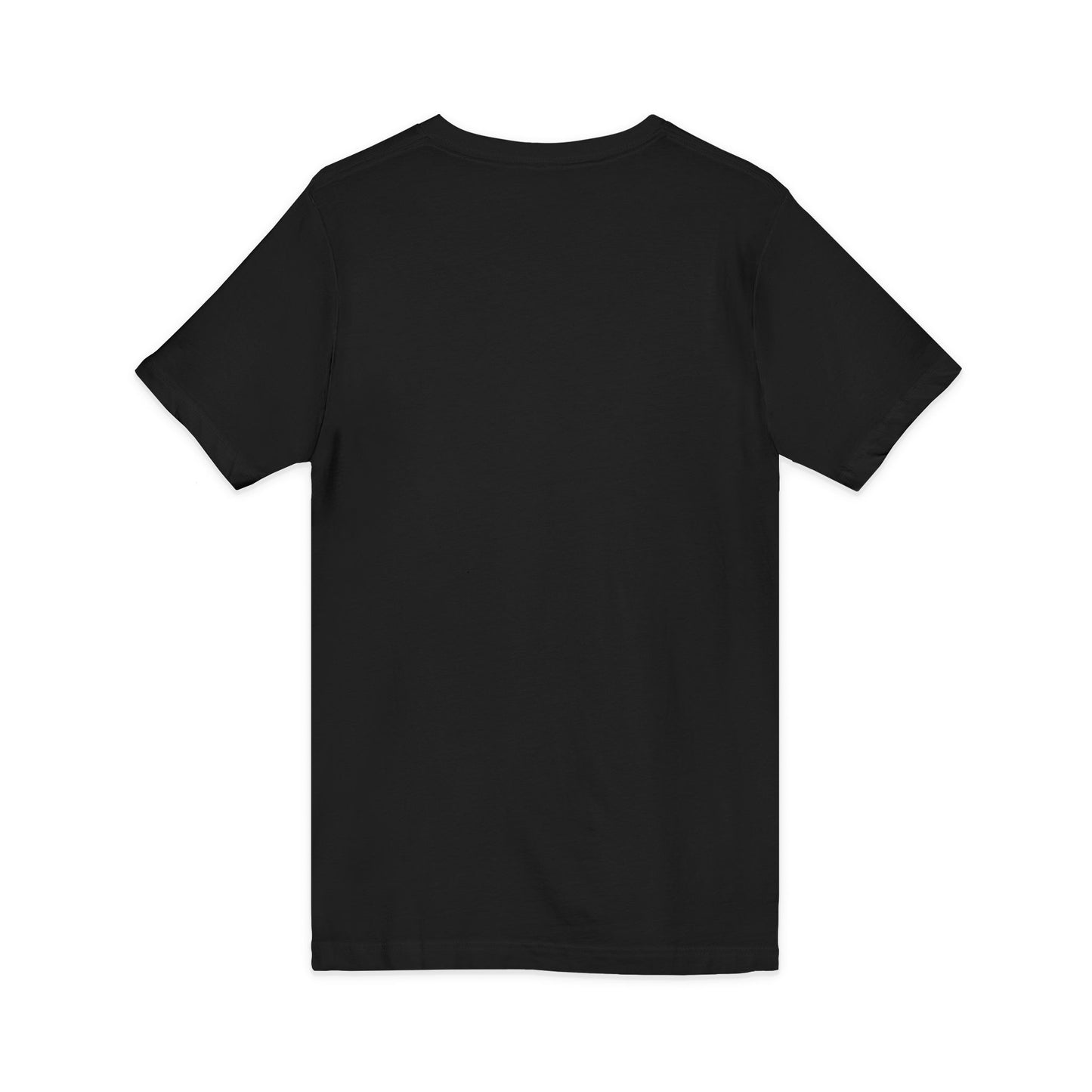 Wholeness V-Neck Tee — Minimal Self-Care Shirt (Est. 2022)